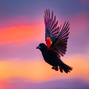 BlackBird