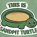 sandpit turtle
