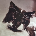GhettoMonk