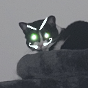 NotRayne