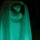 MeowBoo