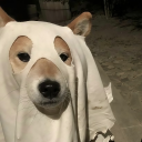 Hallowee